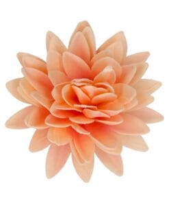 Flor De Papel Comestible Funcakes - Peonia Naranja Grande